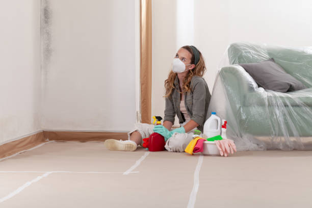 Reliable Black Mold Removal contractor in Cedar, MI by WQB Mold Removal